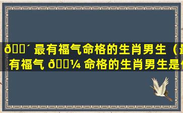 🌴 最有福气命格的生肖男生（最有福气 🌼 命格的生肖男生是什么）